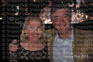 20tM_10_13_AJC4764.JPG
