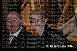 AmbTrv11_15AJC_2910.JPG