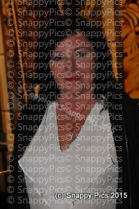AmbTrv11_15AJC_2943.JPG