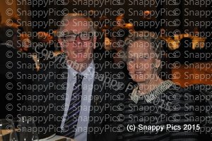 AmbTrv11_15AJC_2995.JPG