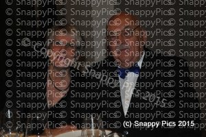 AmbTrv11_15AJC_3024.JPG