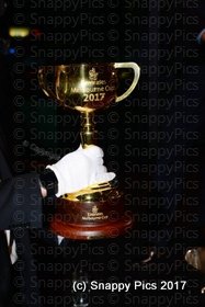 AmbTrv_11_17AJC_9256.JPG