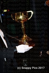 AmbTrv_11_17AJC_9257.JPG