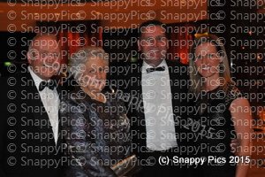 AC6_15_AJC_4172.JPG