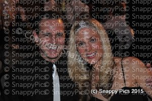 ASP8_15-AJC_8961.JPG