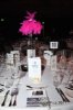 AuSPS_8_17_JAS_9516.JPG
