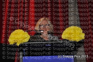BP12_13_AJC8007.JPG