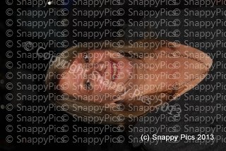 CMFEU9_13IMG_8949.JPG