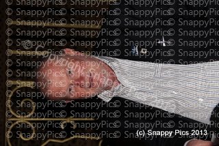 CMFEU9_13IMG_8992.JPG