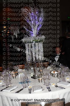 CyF121111_0053.JPG
