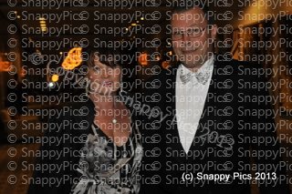 EF8_13_AJC0060.JPG