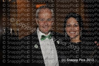 EF8_13_AJC0116.JPG