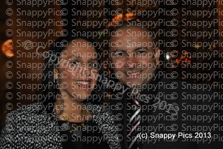 EF8_13_AJC0183.JPG