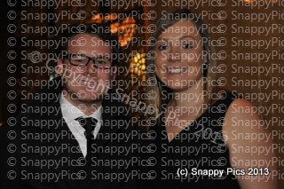 EF8_13_AJC0239.JPG