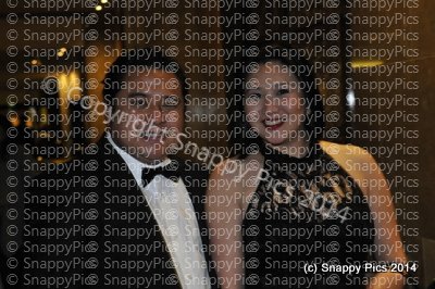 EP_R_8_14_AJC3846.JPG