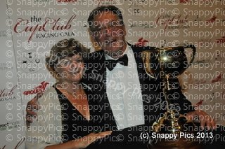 G1_11_13_AJC6176.JPG