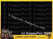 HAW-9_12-DSC00978.jpg