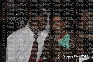 JH12_13_AJC7472.JPG