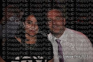 JH12_13_AJC7490.JPG