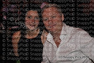 JH12_13_AJC7497.JPG