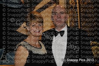 KP8_13_AJC0661.JPG
