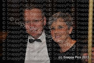 KP8_13_AJC0757.JPG