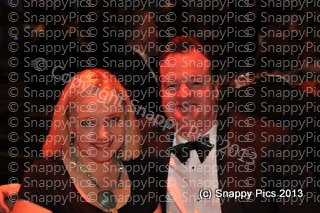 KP8_13_AJC0769.JPG