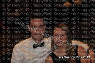 KP8_13_AJC0772.JPG