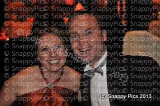 KP8_13_AJC0813.JPG