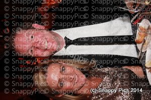 KPMG8_14IMG_8716.JPG