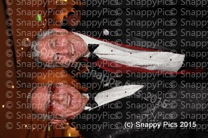 LDI_4_15IMG_3267.JPG