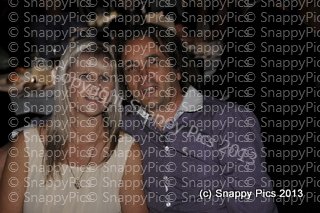 LHS12_13_AJC7792.JPG