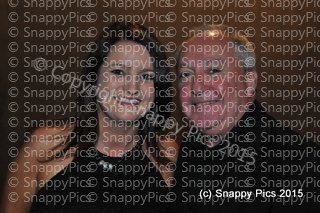 LilSS12_15JS12_15AJC_3637.JPG