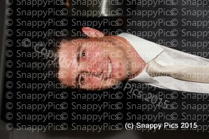 LL2-15IMG_2123.JPG