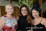 MLC_10_17-AJC_8773.JPG
