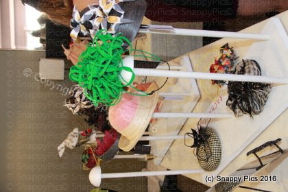 MLCTen_10_16_IMG_0268.JPG