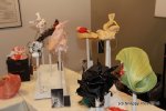 MLCTen_10_16_IMG_0266.JPG