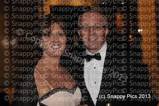 MZ10_13_AJC5313.JPG