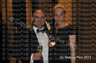 MZ10_13_AJC5330.JPG
