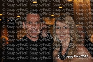 MZ10_13_AJC5377.JPG