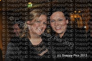 MZ10_13_AJC5417.JPG