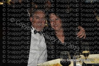 MZ10_13_AJC5526.JPG