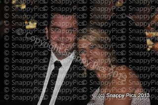 MZ10_13_AJC5536.JPG