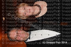 mz10_12IMG_9843.JPG
