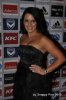 MV_4_13_AJC7548.JPG