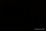 MOB_8_16IMG_0185.JPG