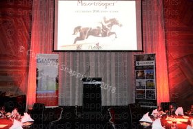 Moss_9_18_AJC_6178.JPG