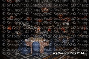 NAB5_15JAS_4917.JPG