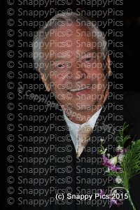 RFC5_15AJC_2377.JPG