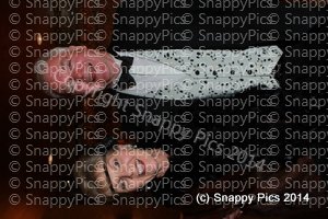 RCH6_14IMG_7171.JPG